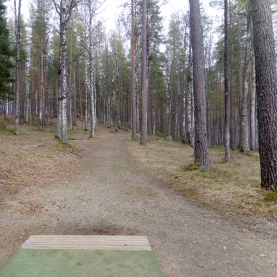 Hole #9 (18.5.2022).