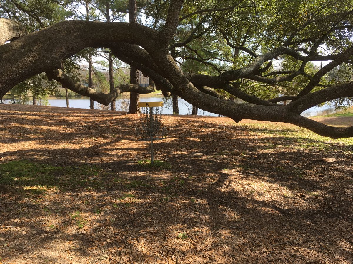 Basket at hole 8.