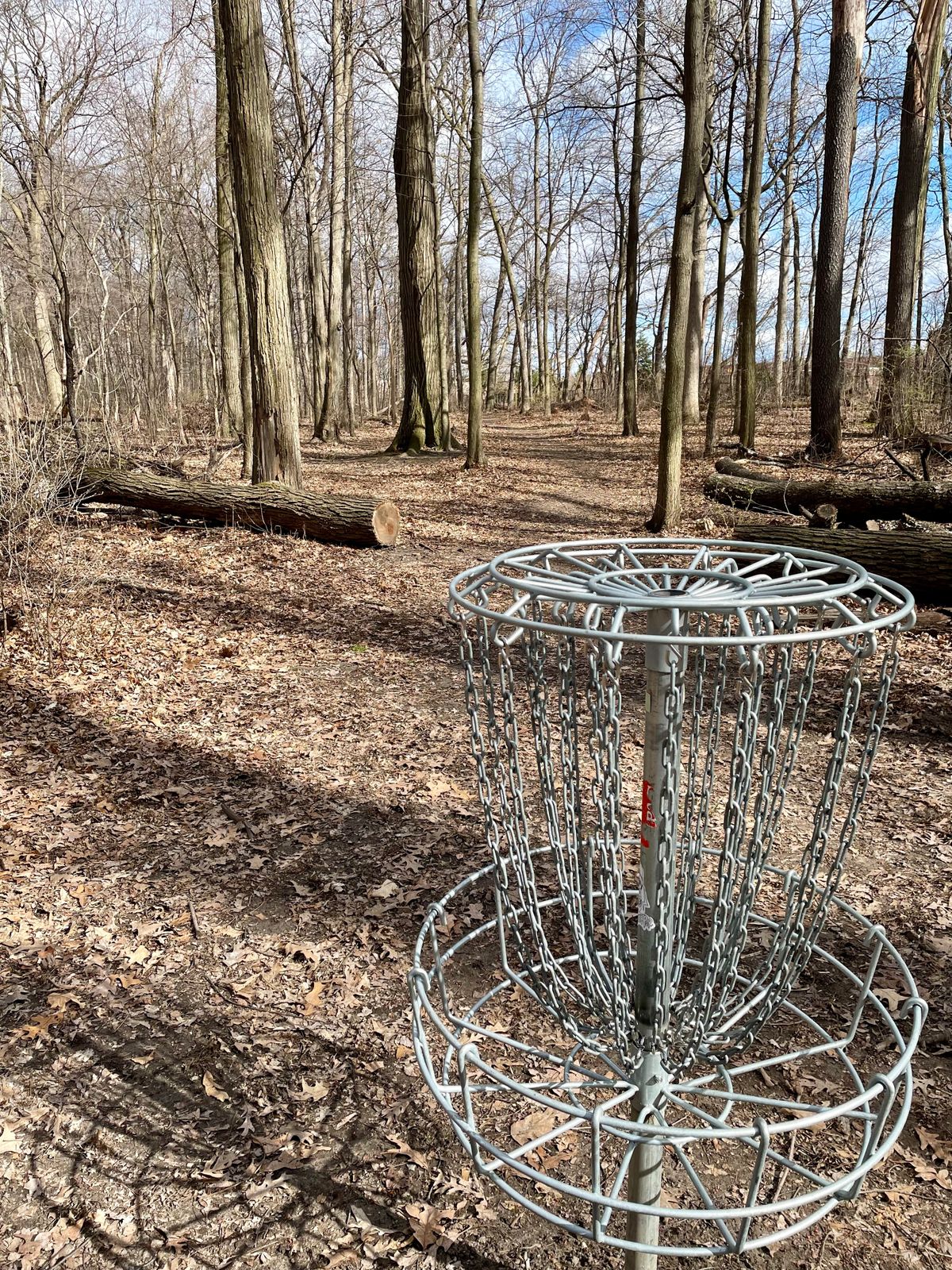 Hole 7 basket. Looking backwards.