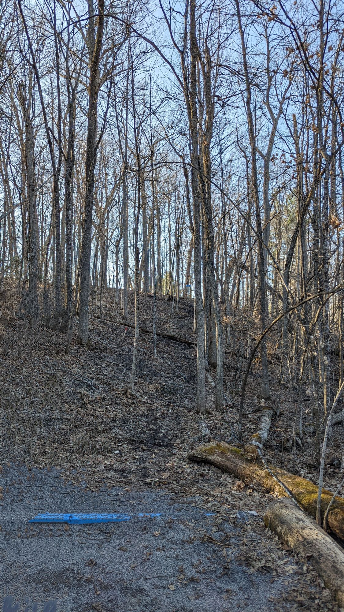 Hole 6, April 2023