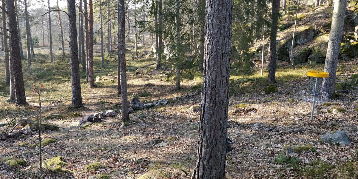 Green hål 7