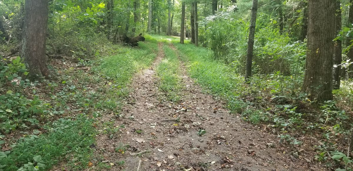 #7.  Short mostly straight shot just finishing barely to the right