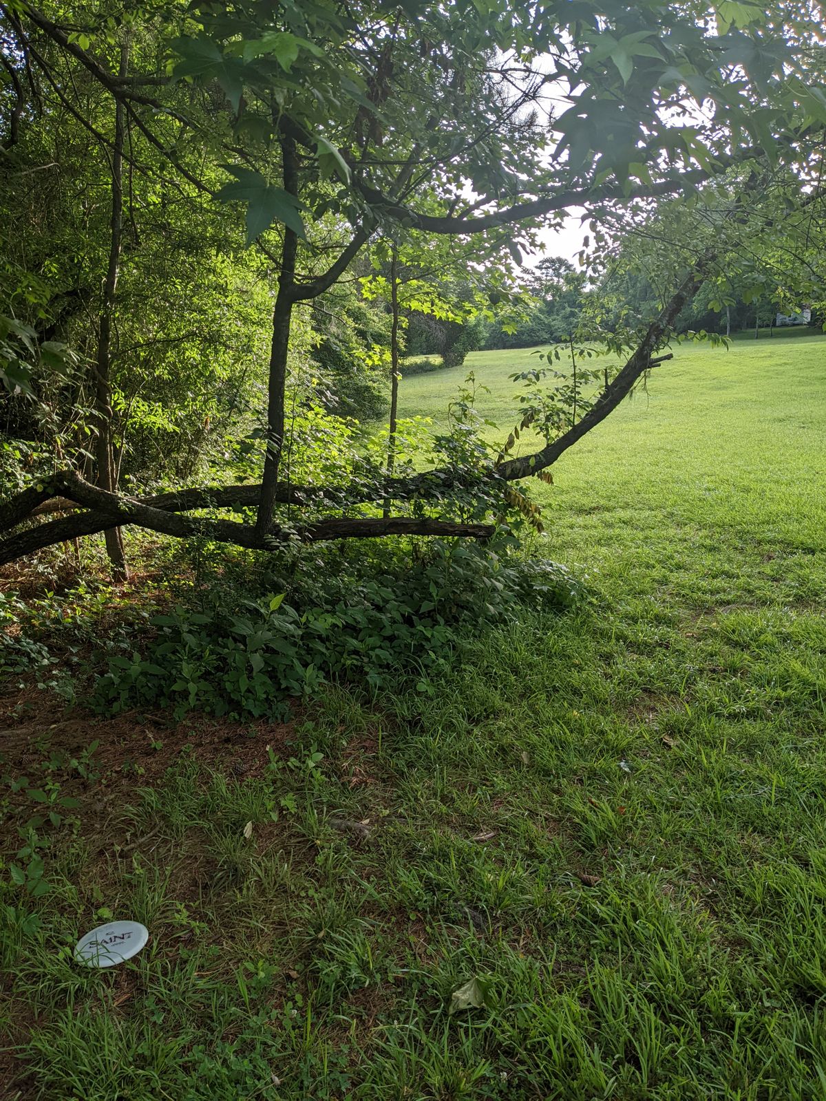 Edge of hole 7 fairway