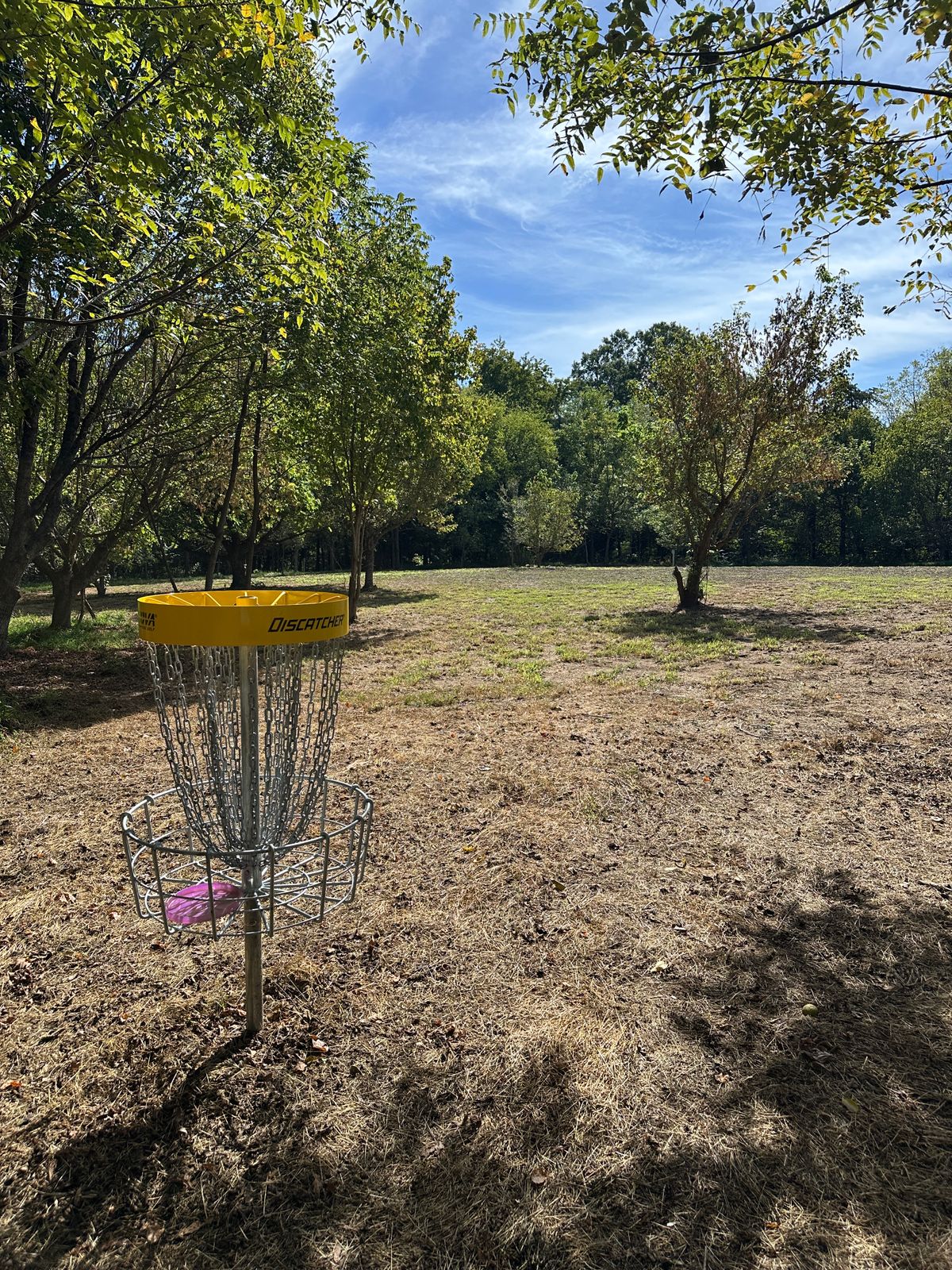 Hole 5 looking back to the tee.
