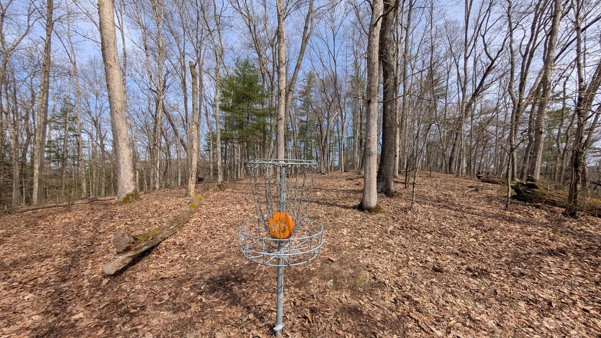16 green area
