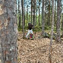 kissanviikset96