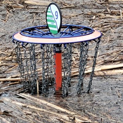 Picture taken 4/20/23