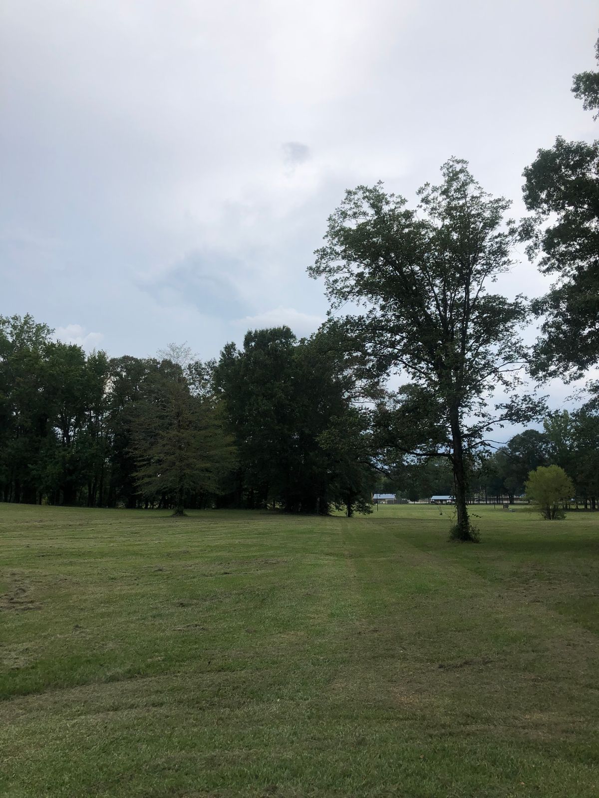 Hole 6