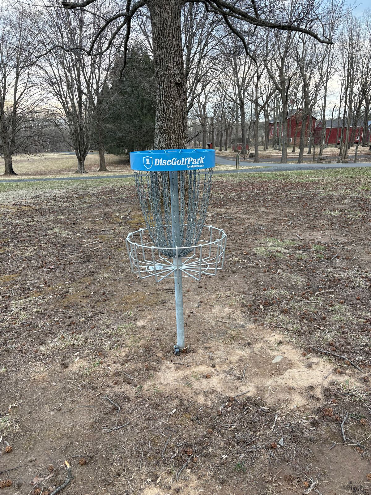 Current pin is in the shorter “a” in the tree cluster. Second pin is similar to old longs.