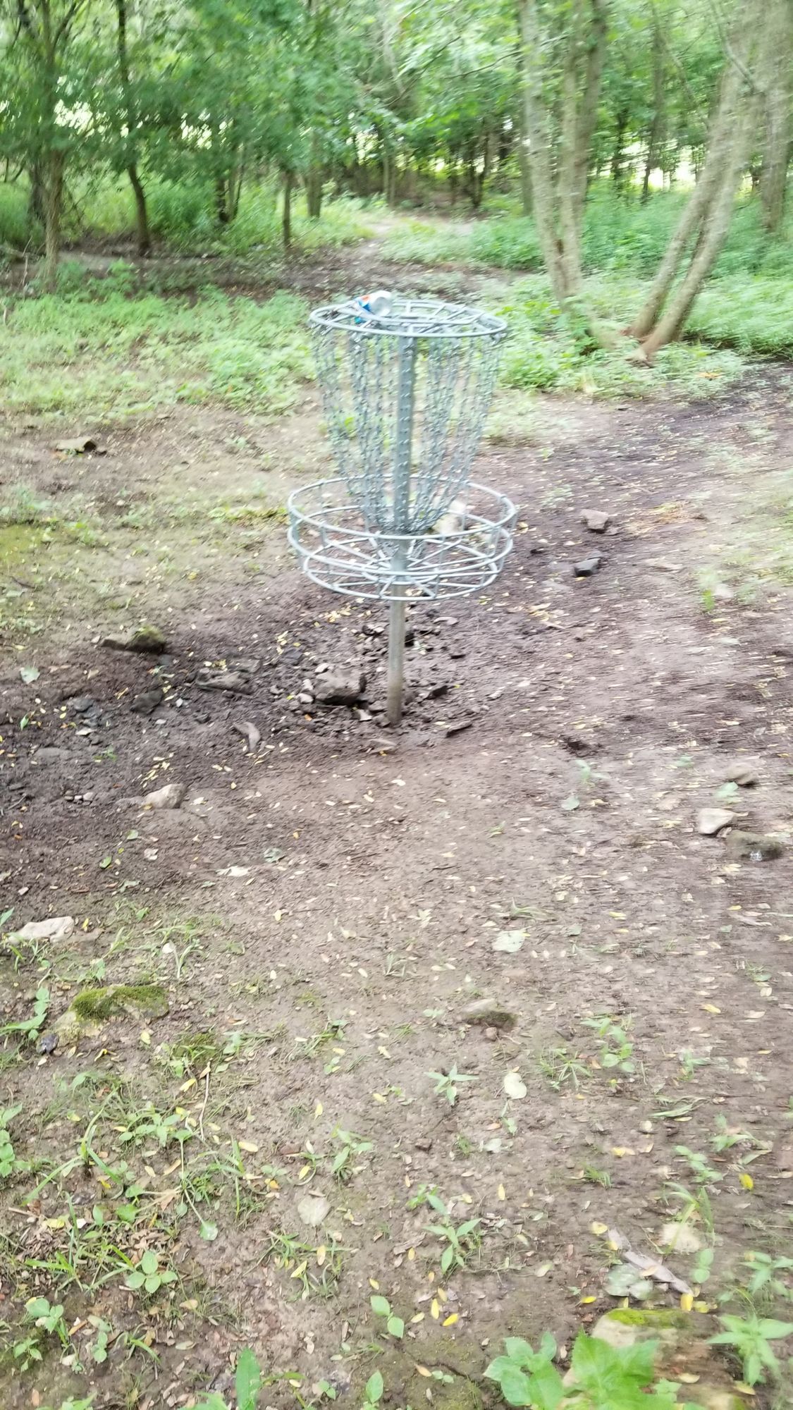 Hole 5 basket