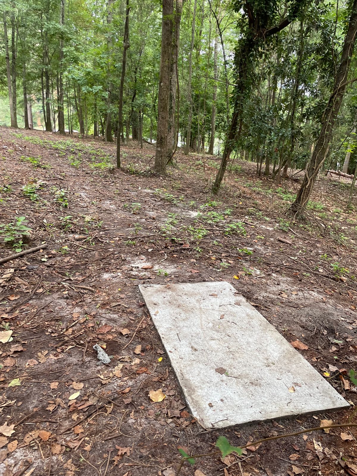 Tee 9