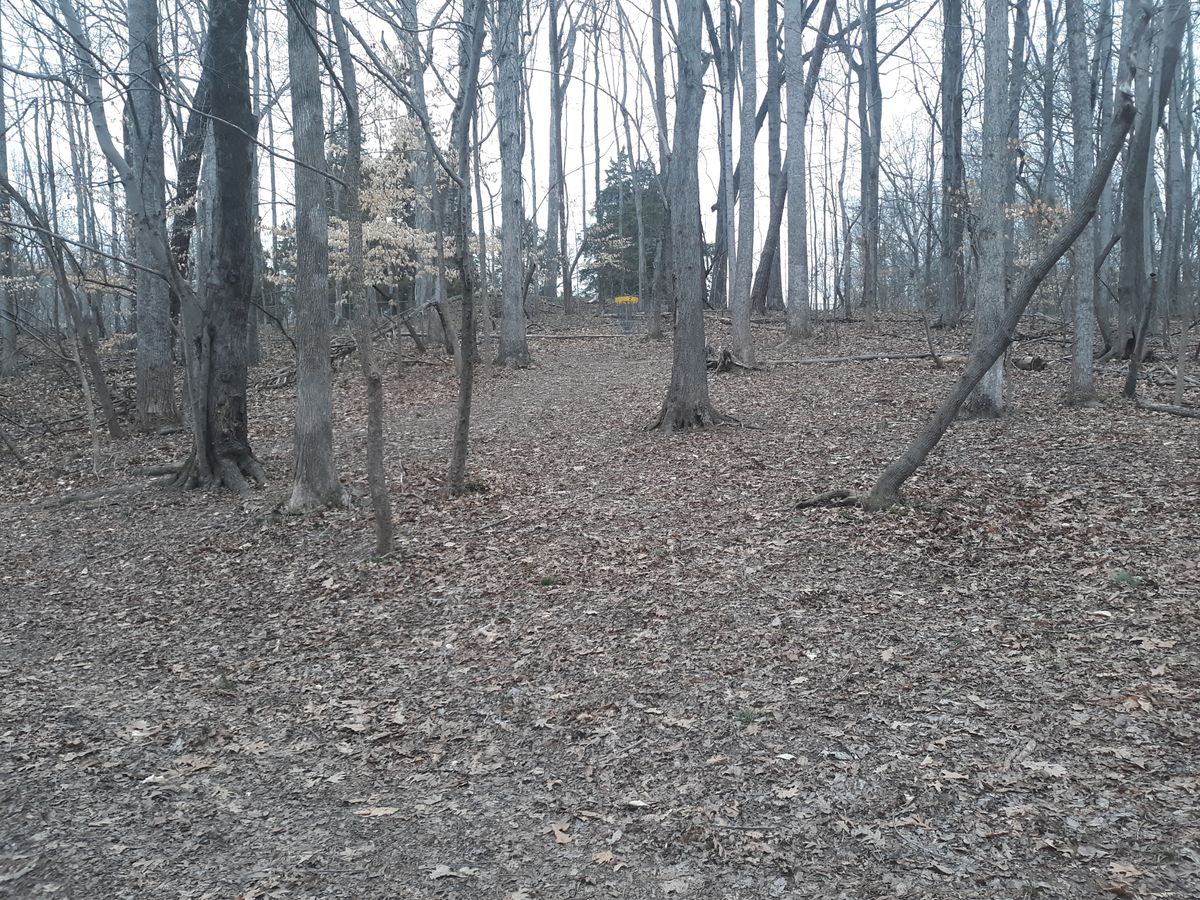 Hole 2 dog leg right