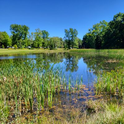 View from the 4L tee.  Don't throw short unless you want to go swimming!