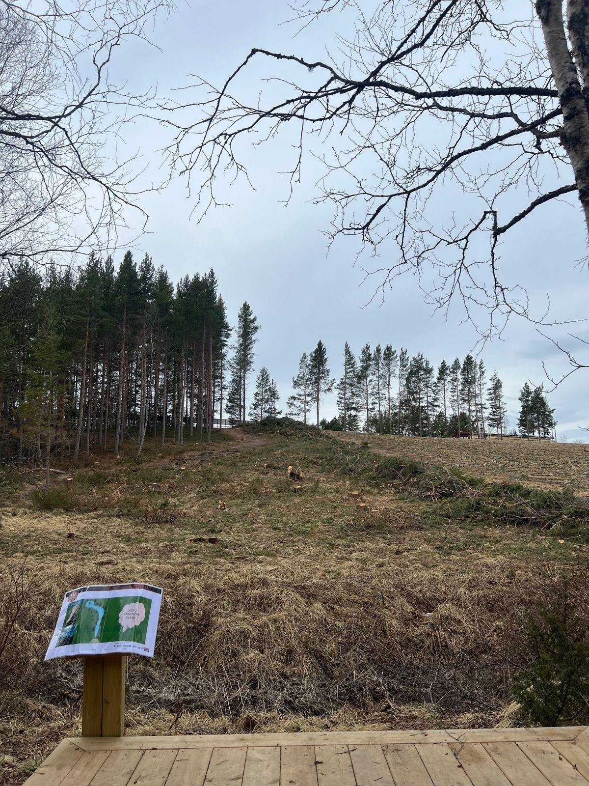 Utkast hull 14
MANDO venstre side med OB linje skogkant frem til den.
Dobbel MANO - OB på jordet.