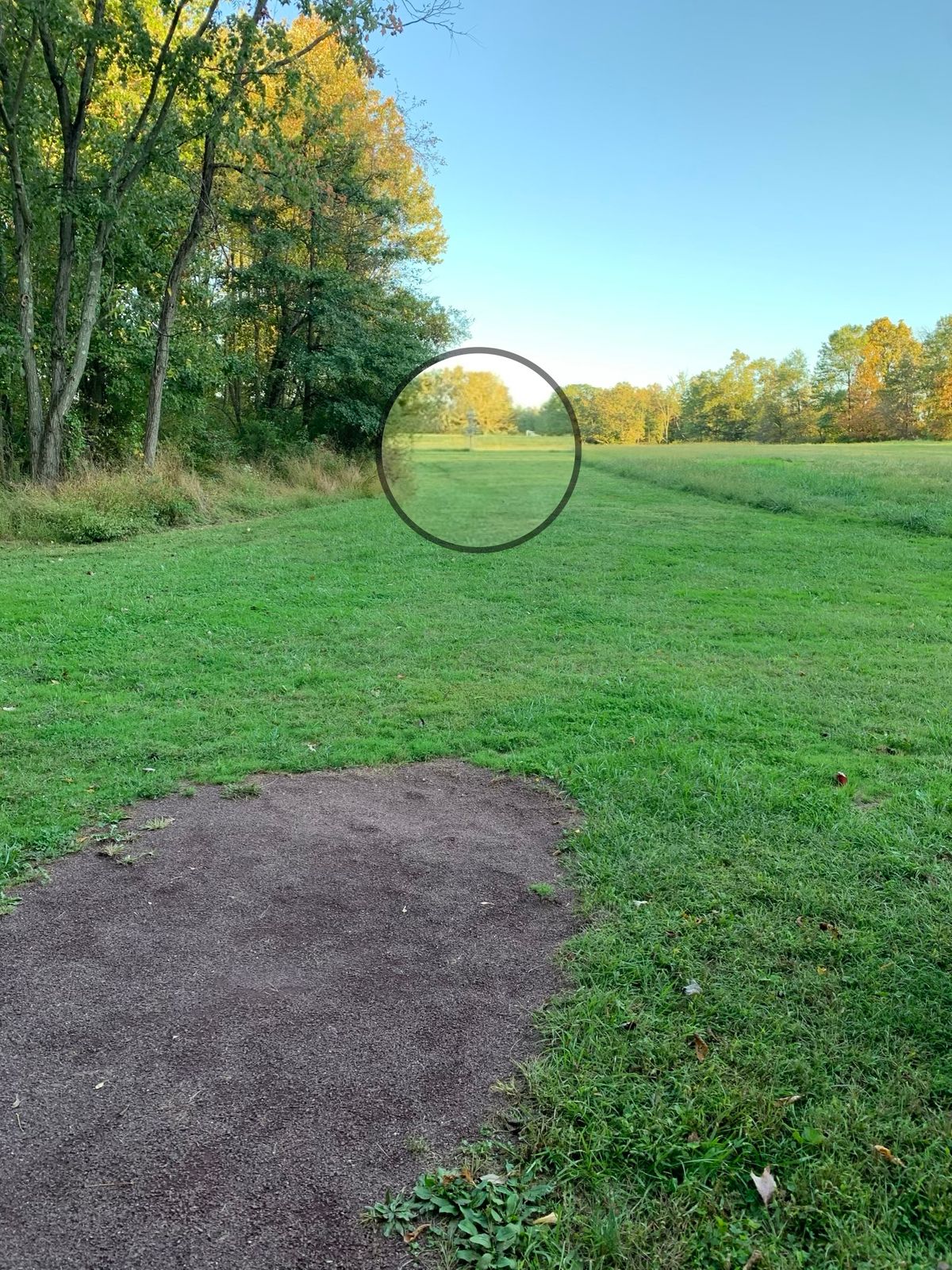Tee box #7