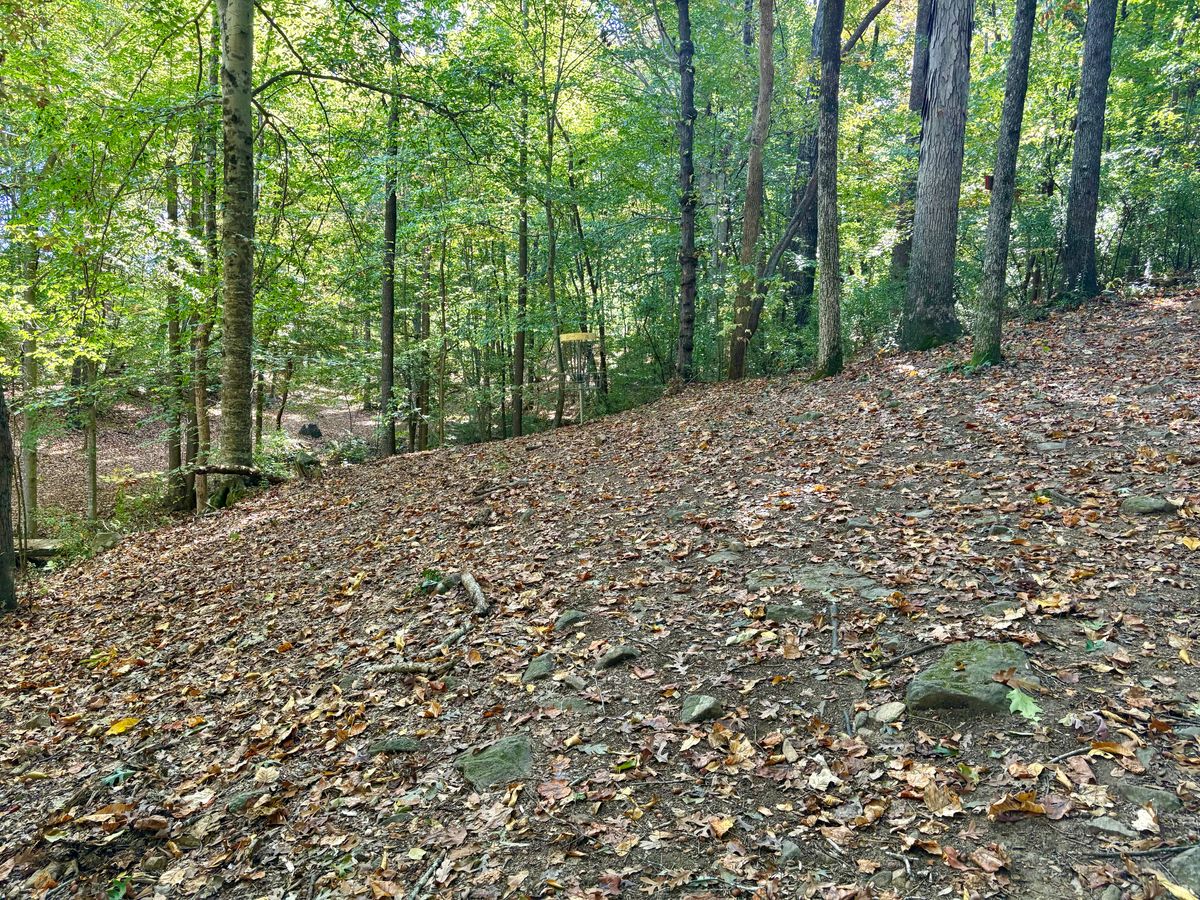 Hole 15 approach