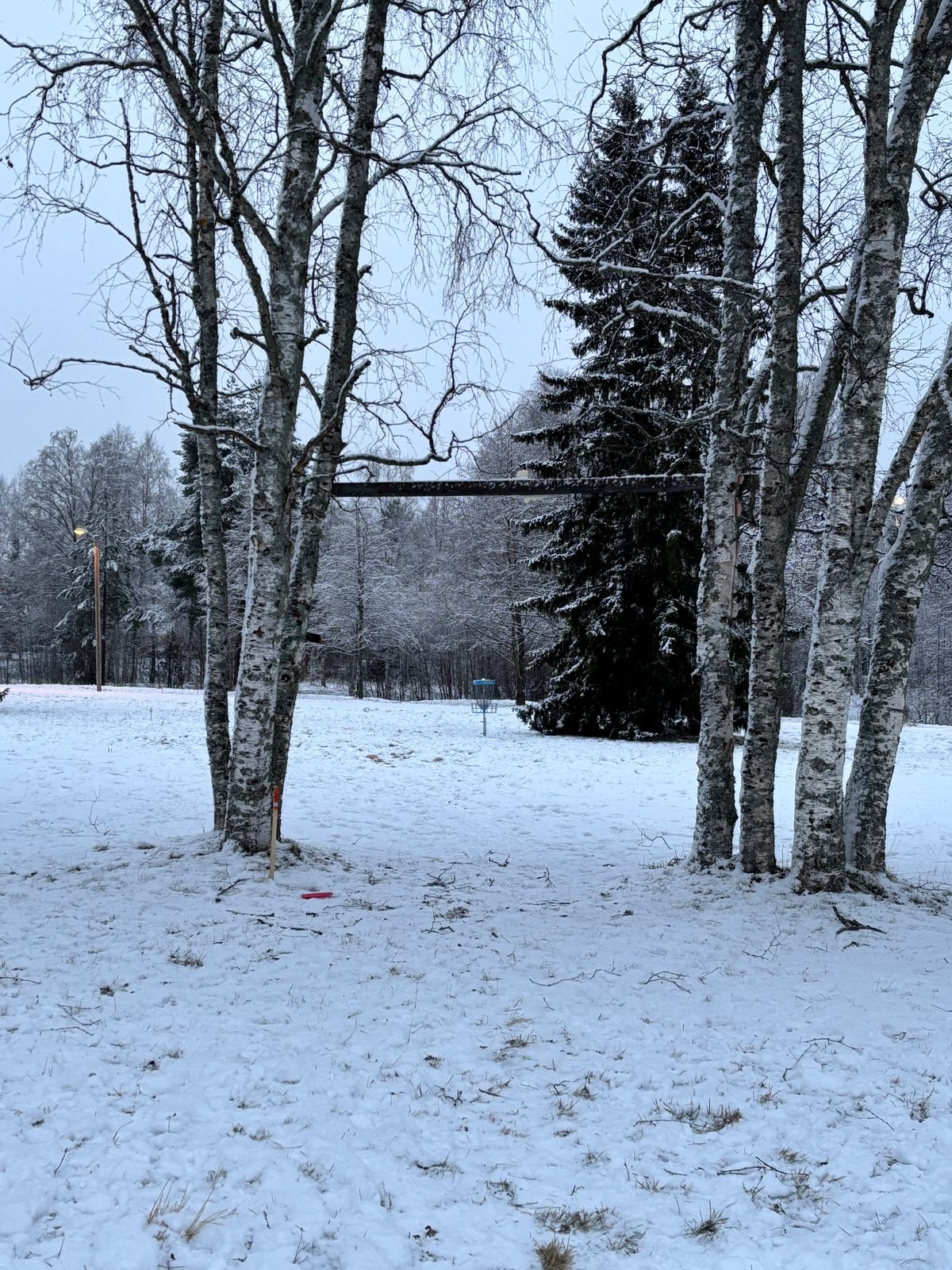 Mandoportti on jälleen käytössä väylällä 17