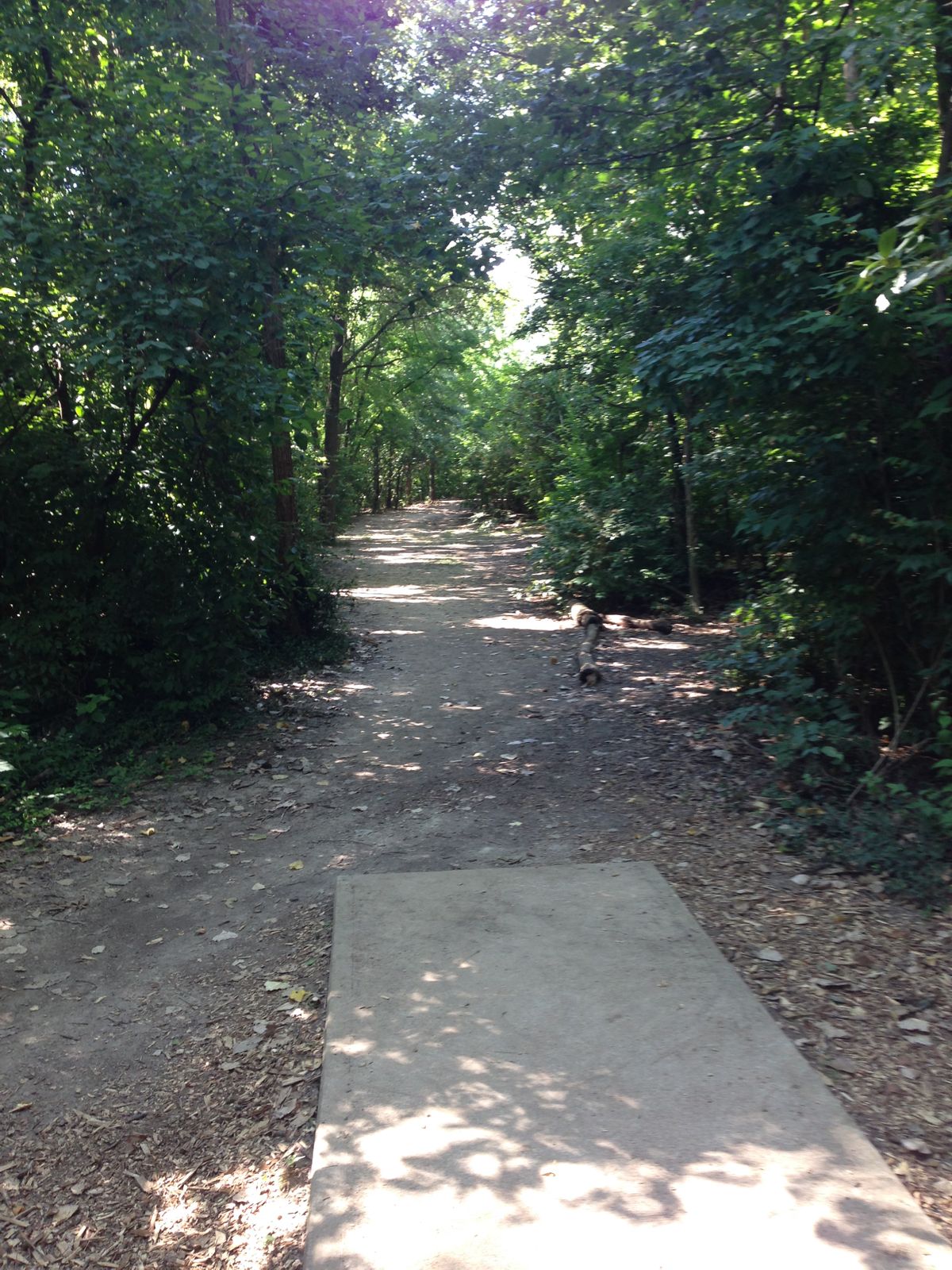 Hole 12