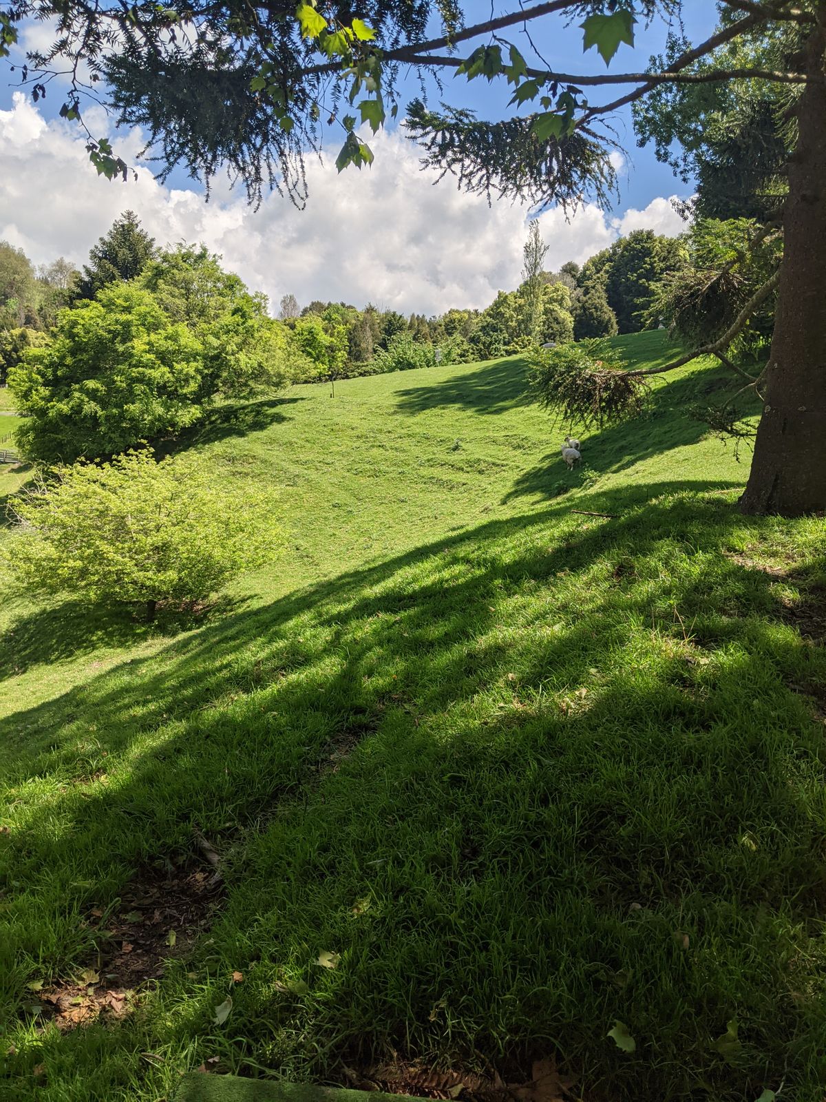 Hole 17
