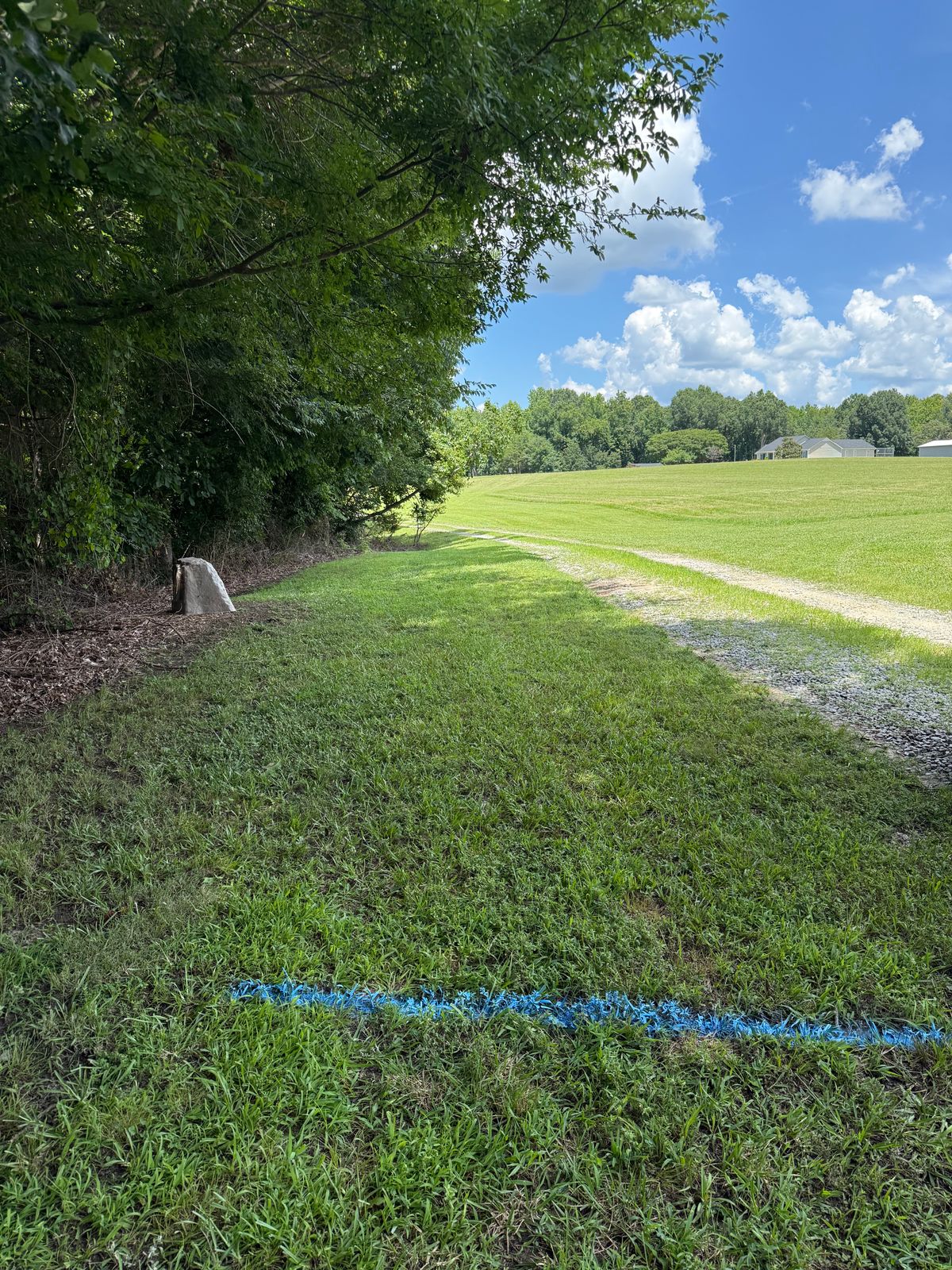Hole 9 Blue Tee. 