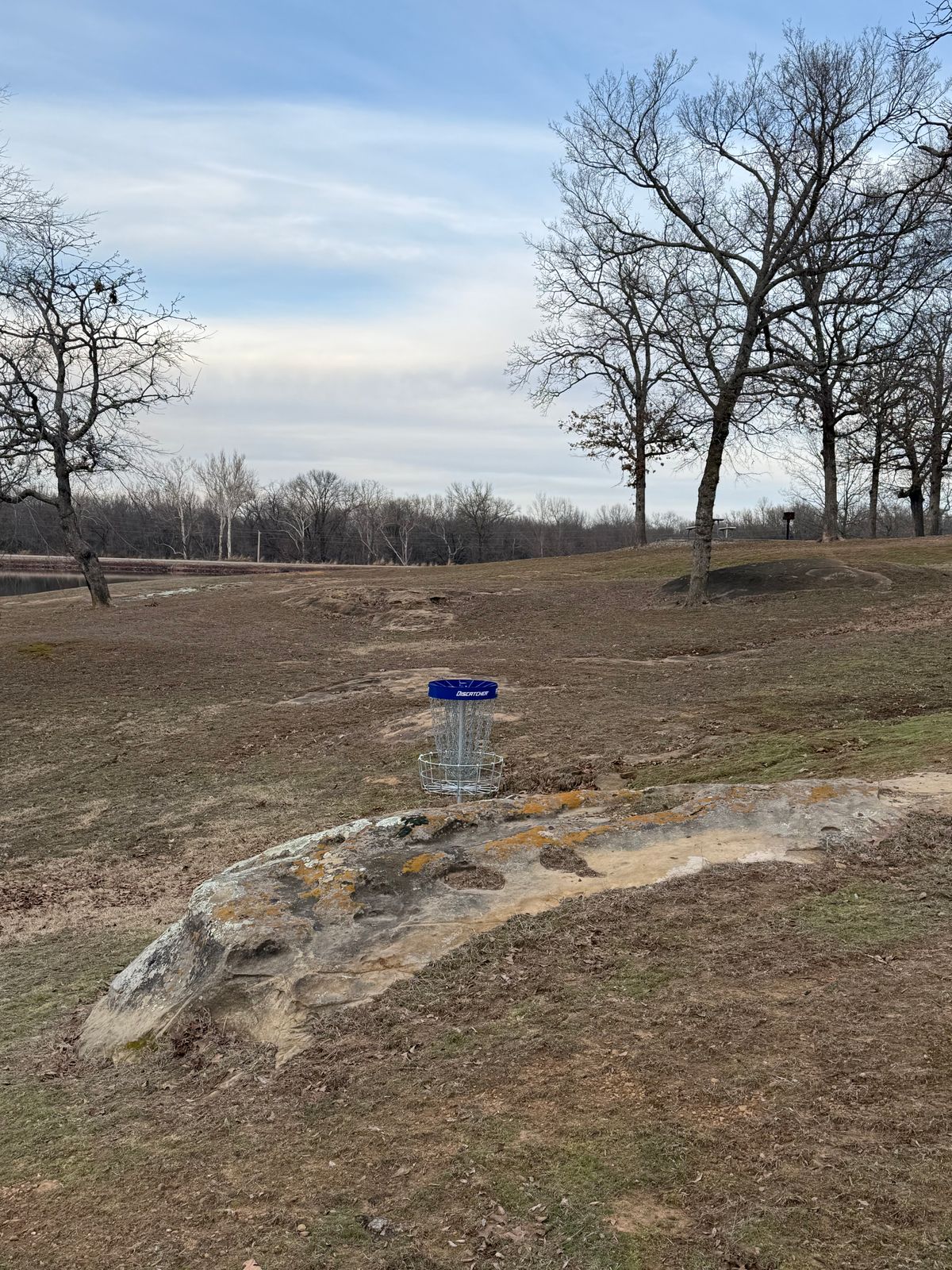 Hole 10 (Shorts) Basket