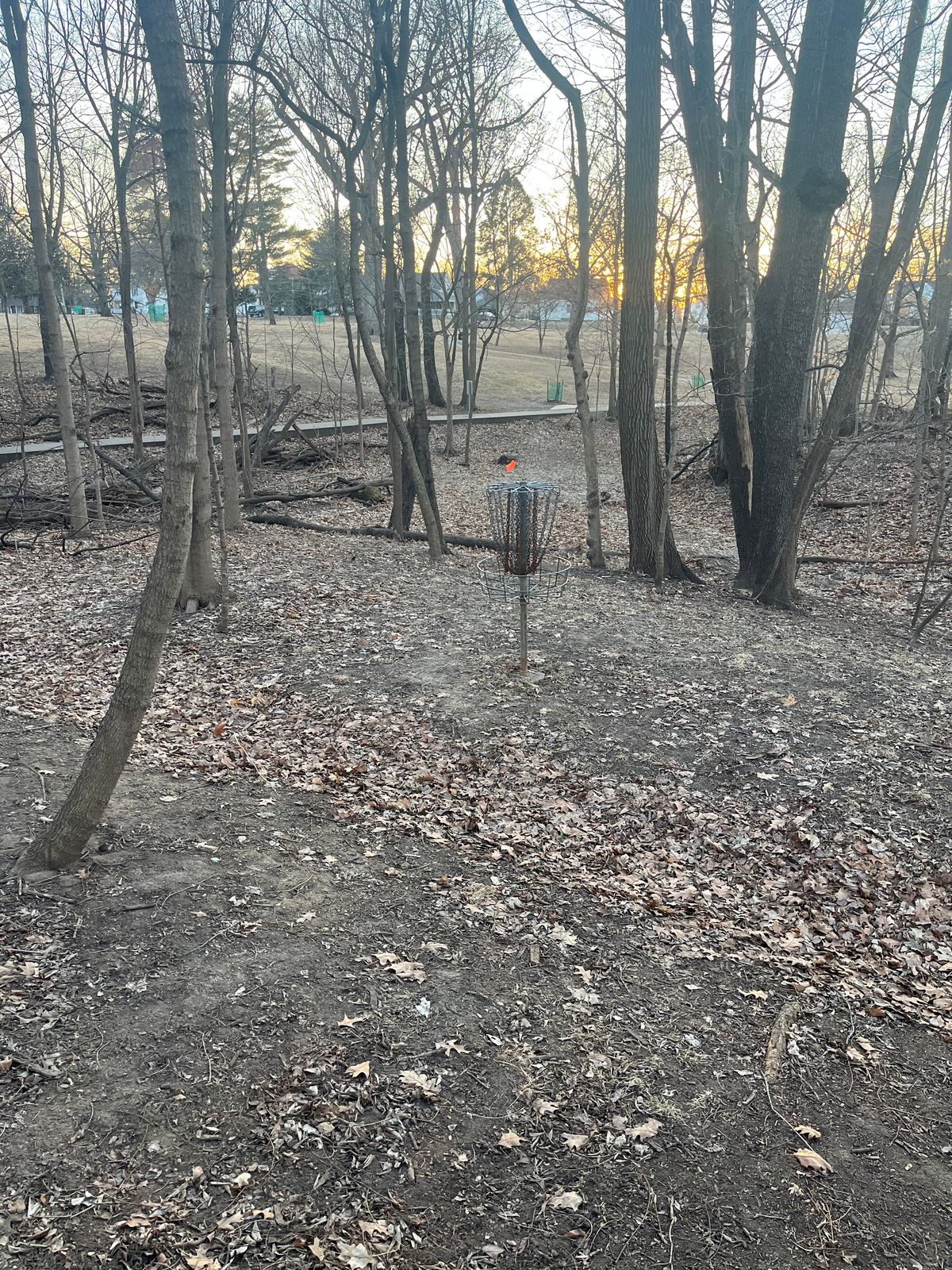 Hole 1 basket