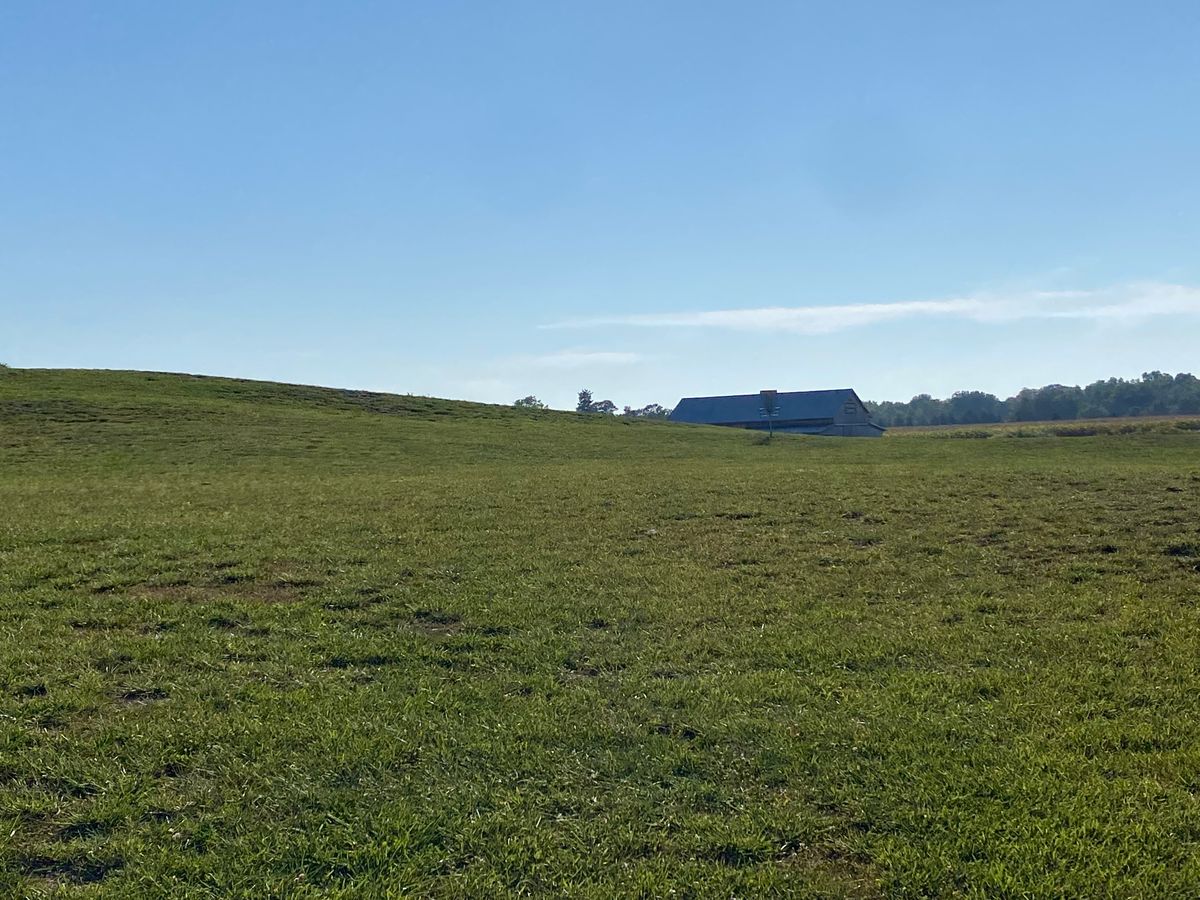 #8 fairway