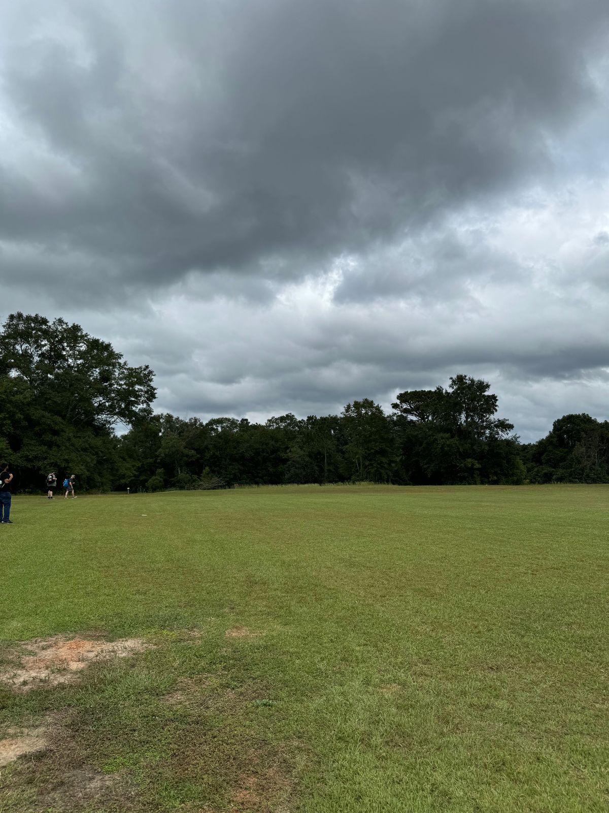 Hole 14 mid fairway (throws toward road)