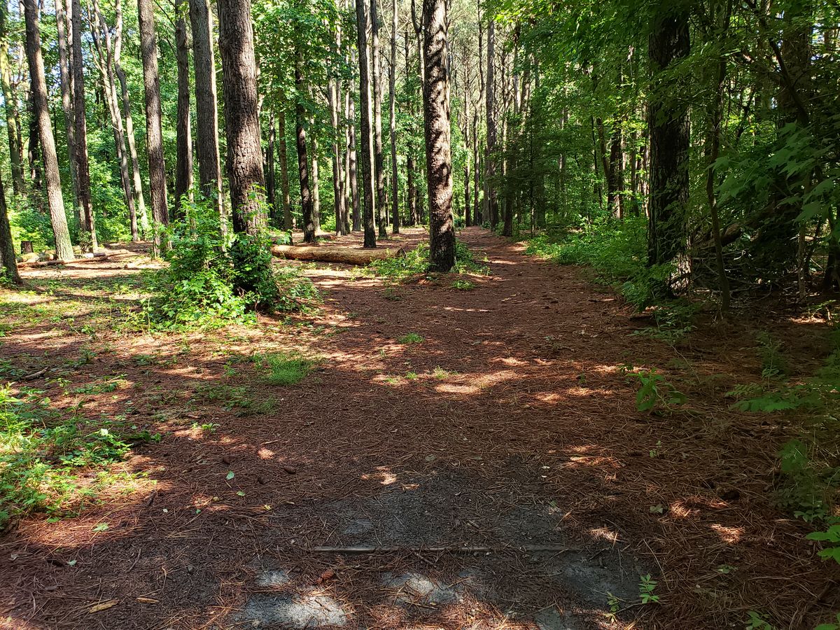 Hole 16 White Tee