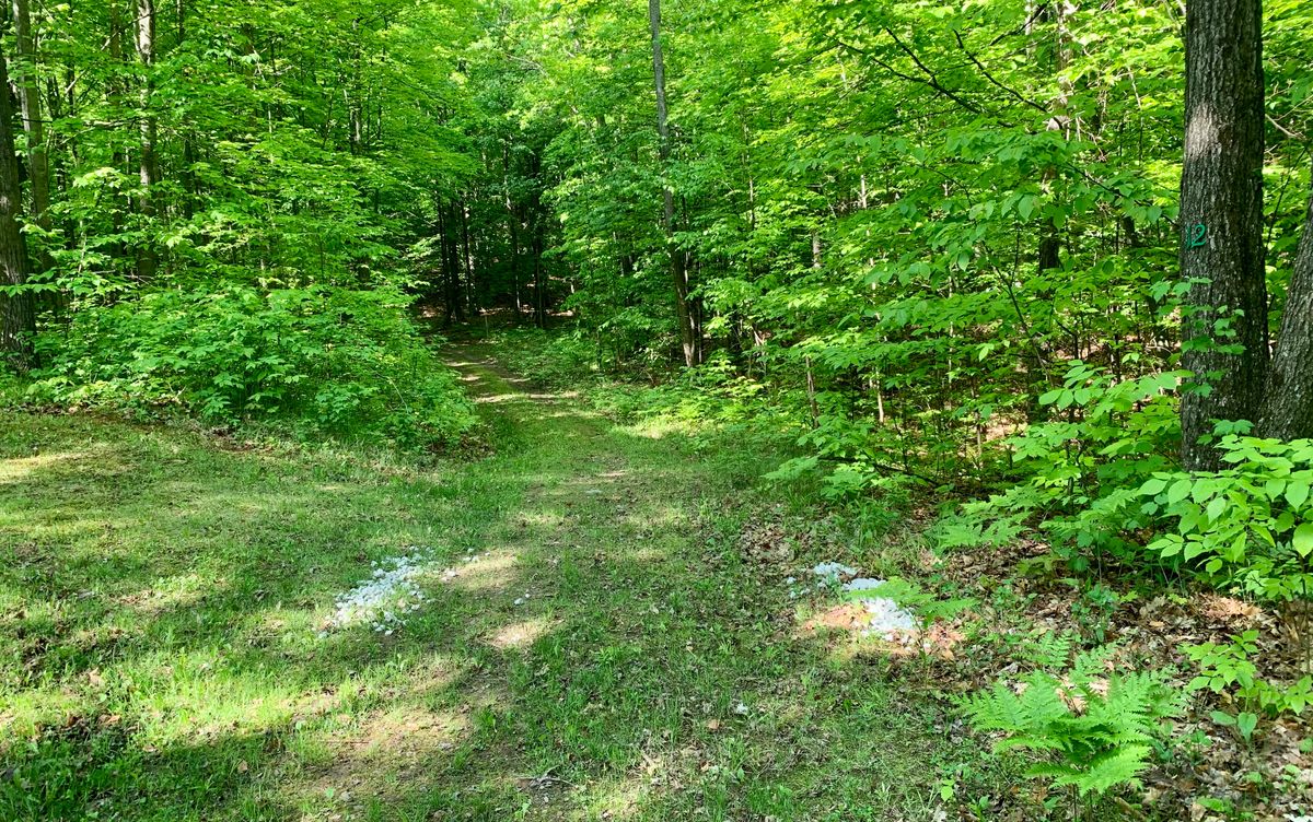 Hole 12