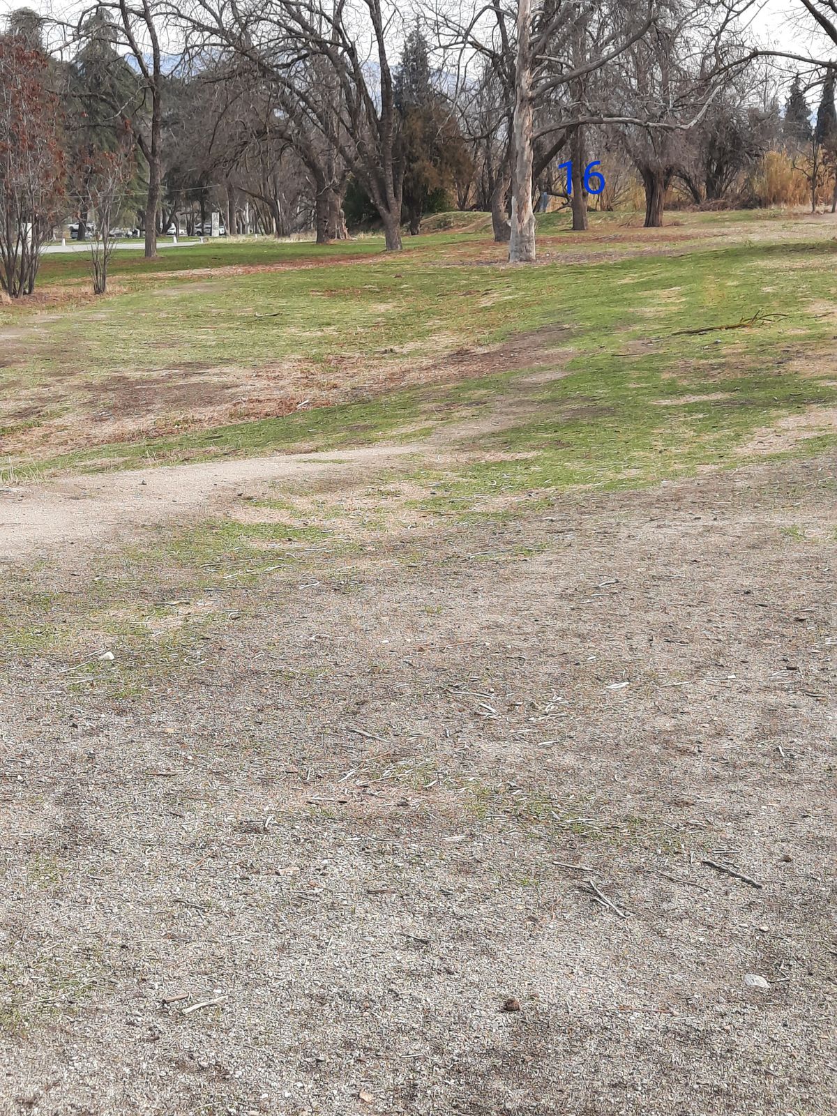Hole #16