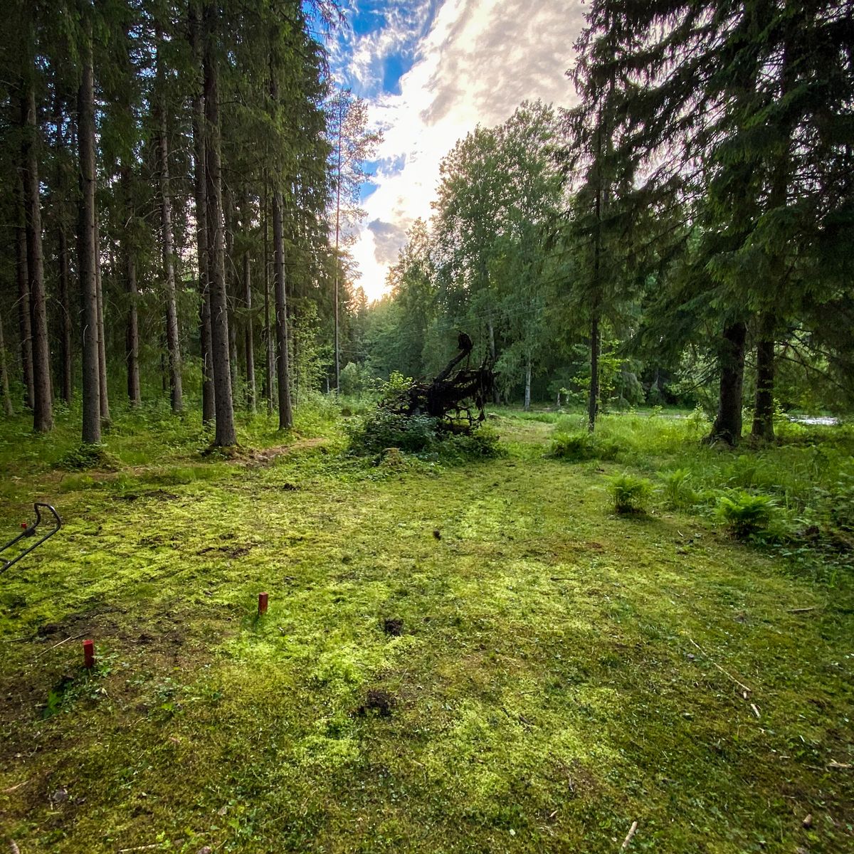 Hole 7