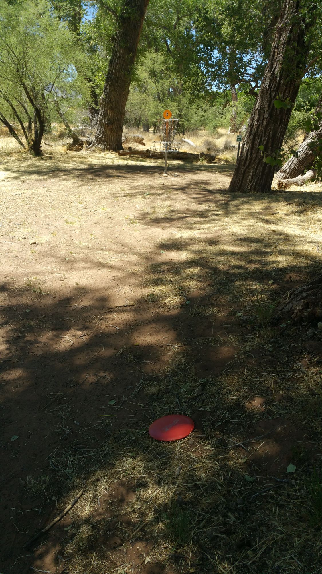 Basket position A for Hole 2 nestled into a group of trees