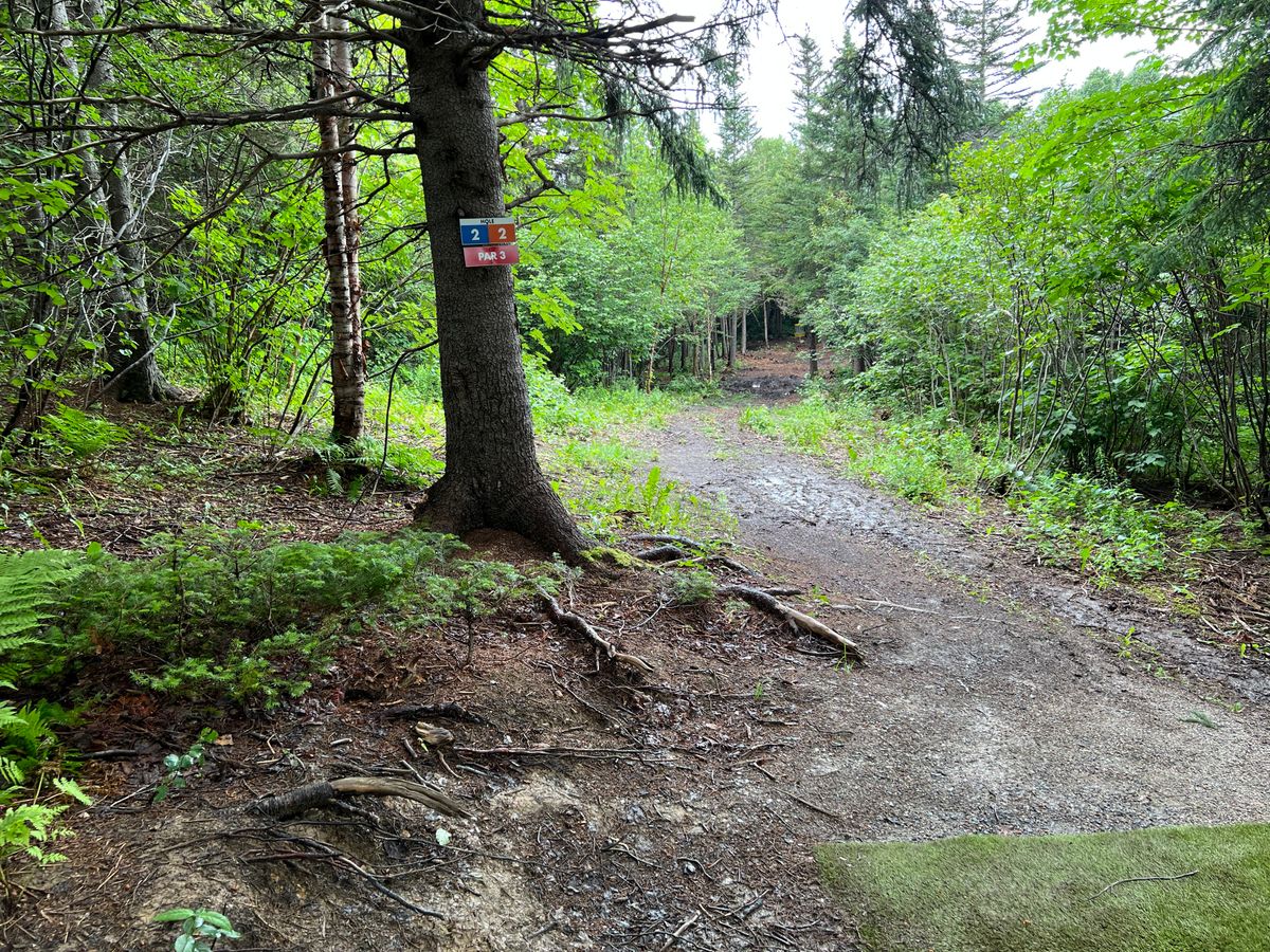 Hole 2 Tee