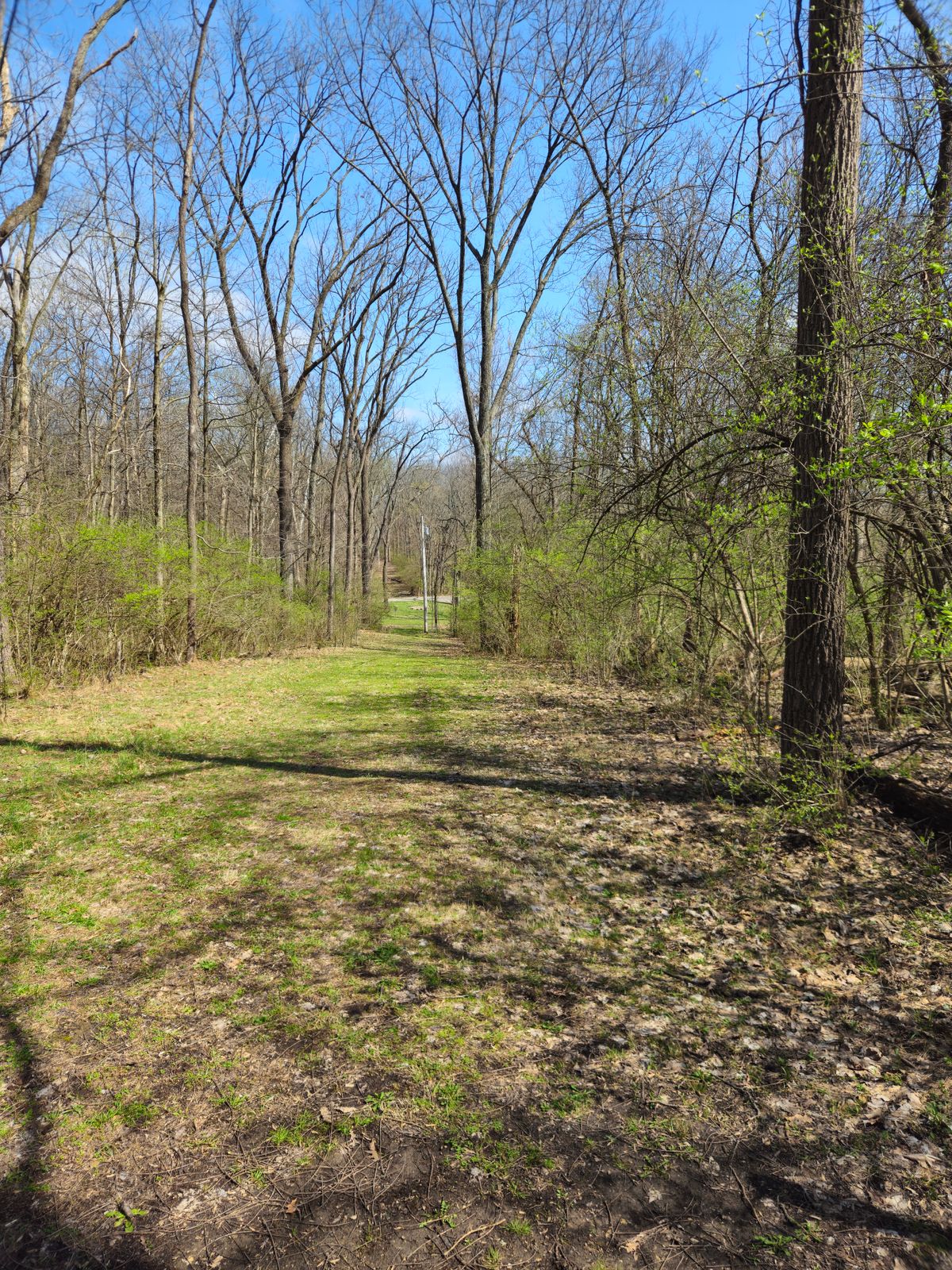 Hole 9 tee looking at the pin