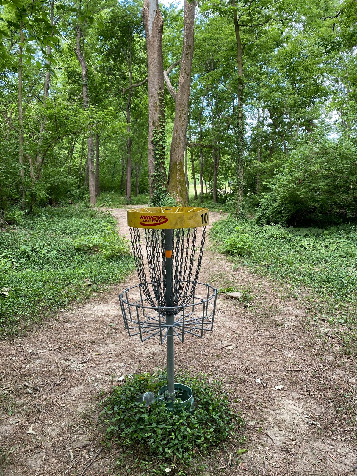 Hole 10 (Reverse)