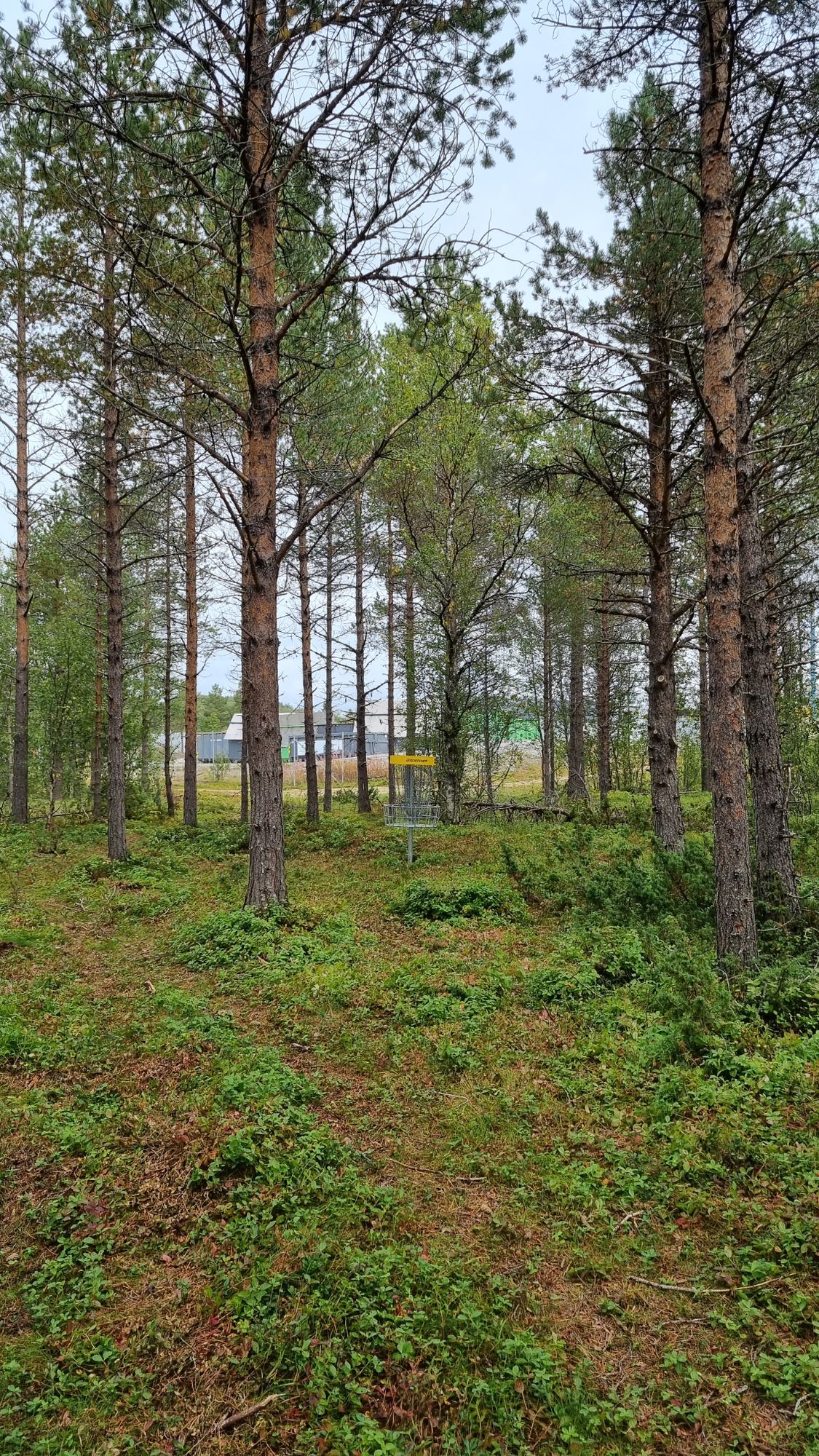 Hole 16