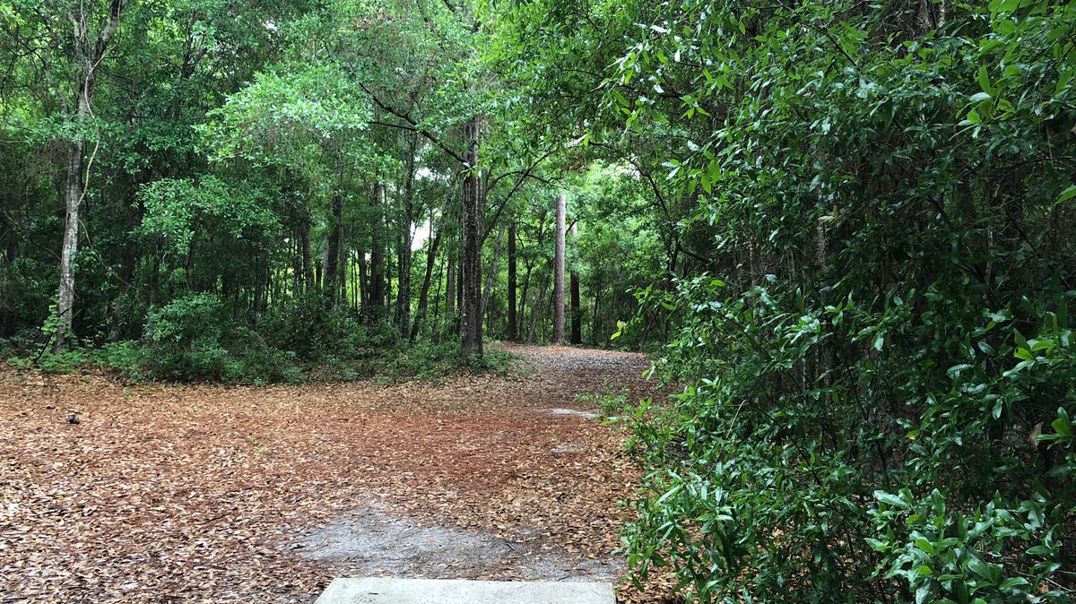 Hole 6