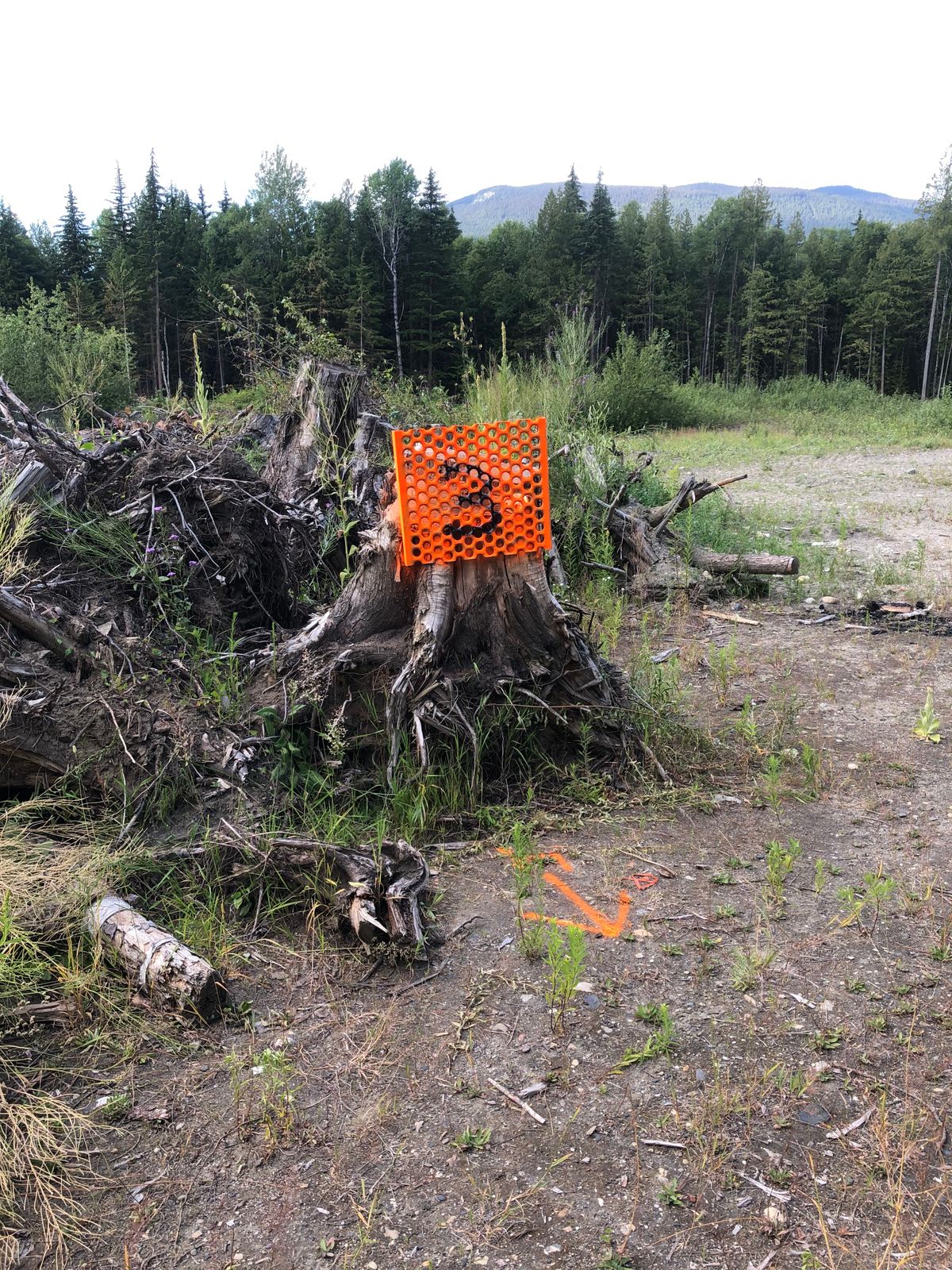 Hole 3 object