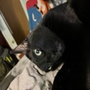 User avatar image