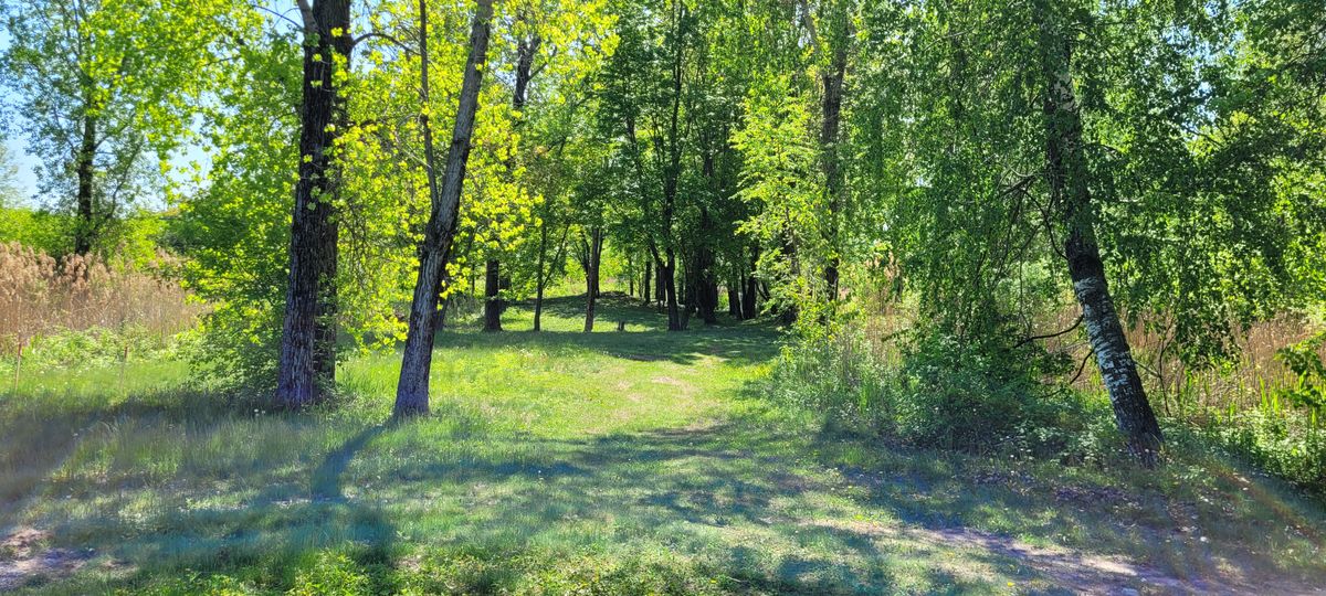 Fairway 16