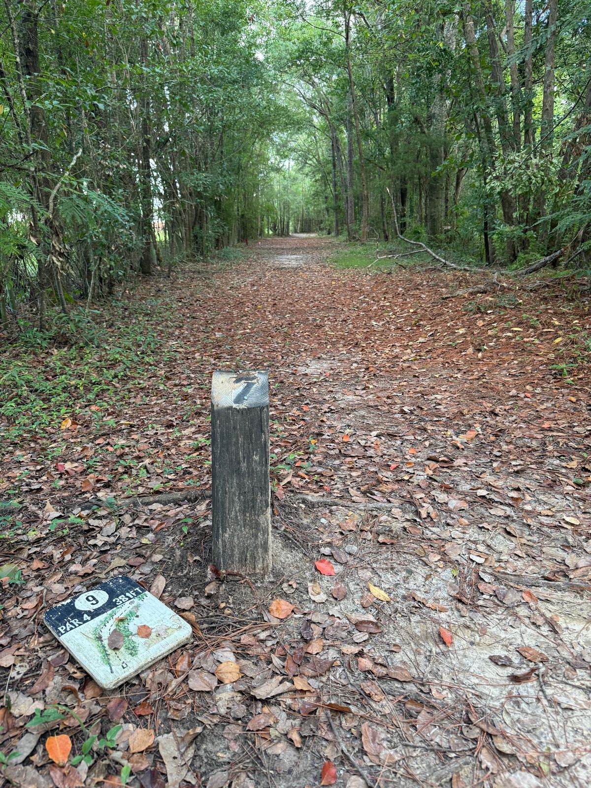 Hole 9 tee