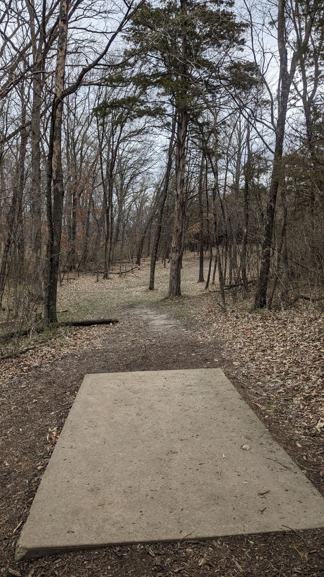 Hole 12 Teepad