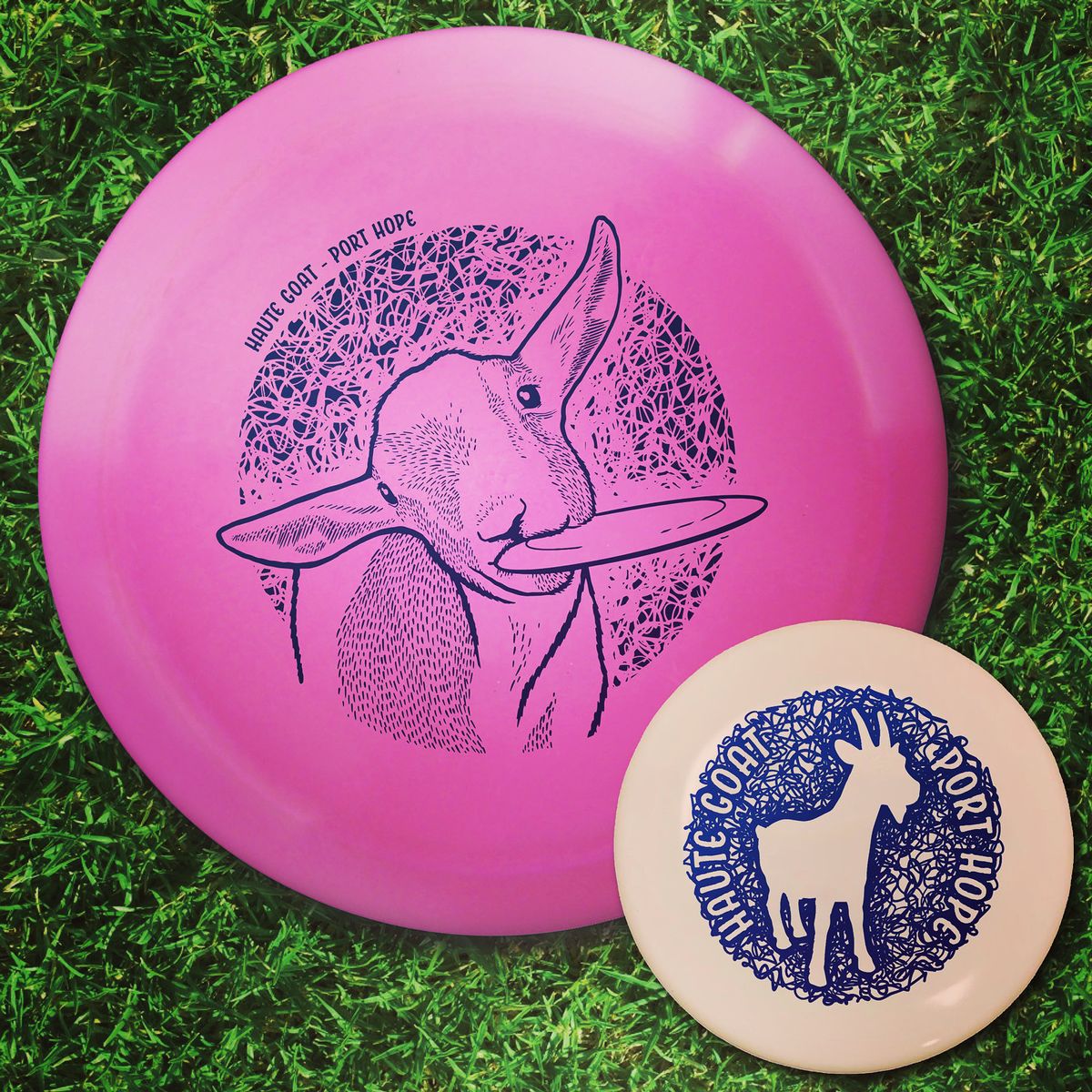 Disc golf gear is available for rent or sale at Haute Goat - check out hundreds of discs in the Screaming Goat Cafe