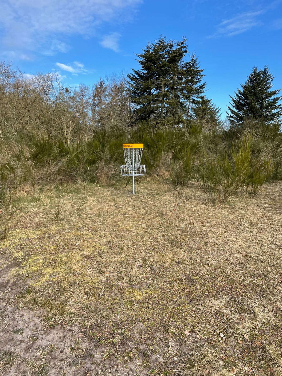 Basket Hole 8
