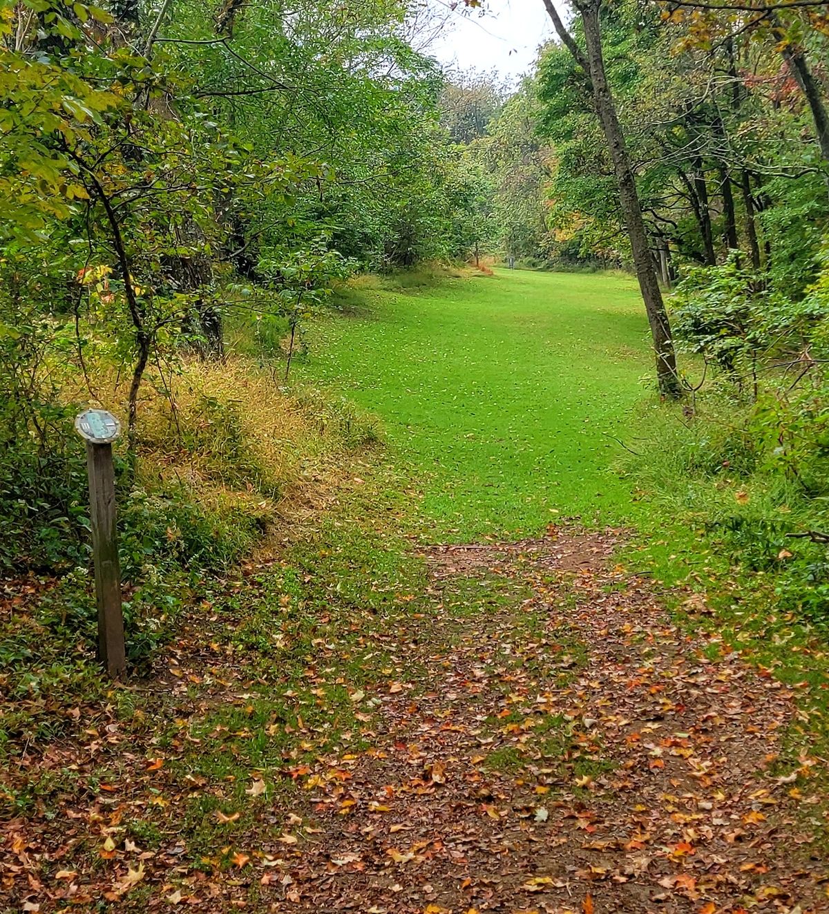 Old Monroeville Hole 3