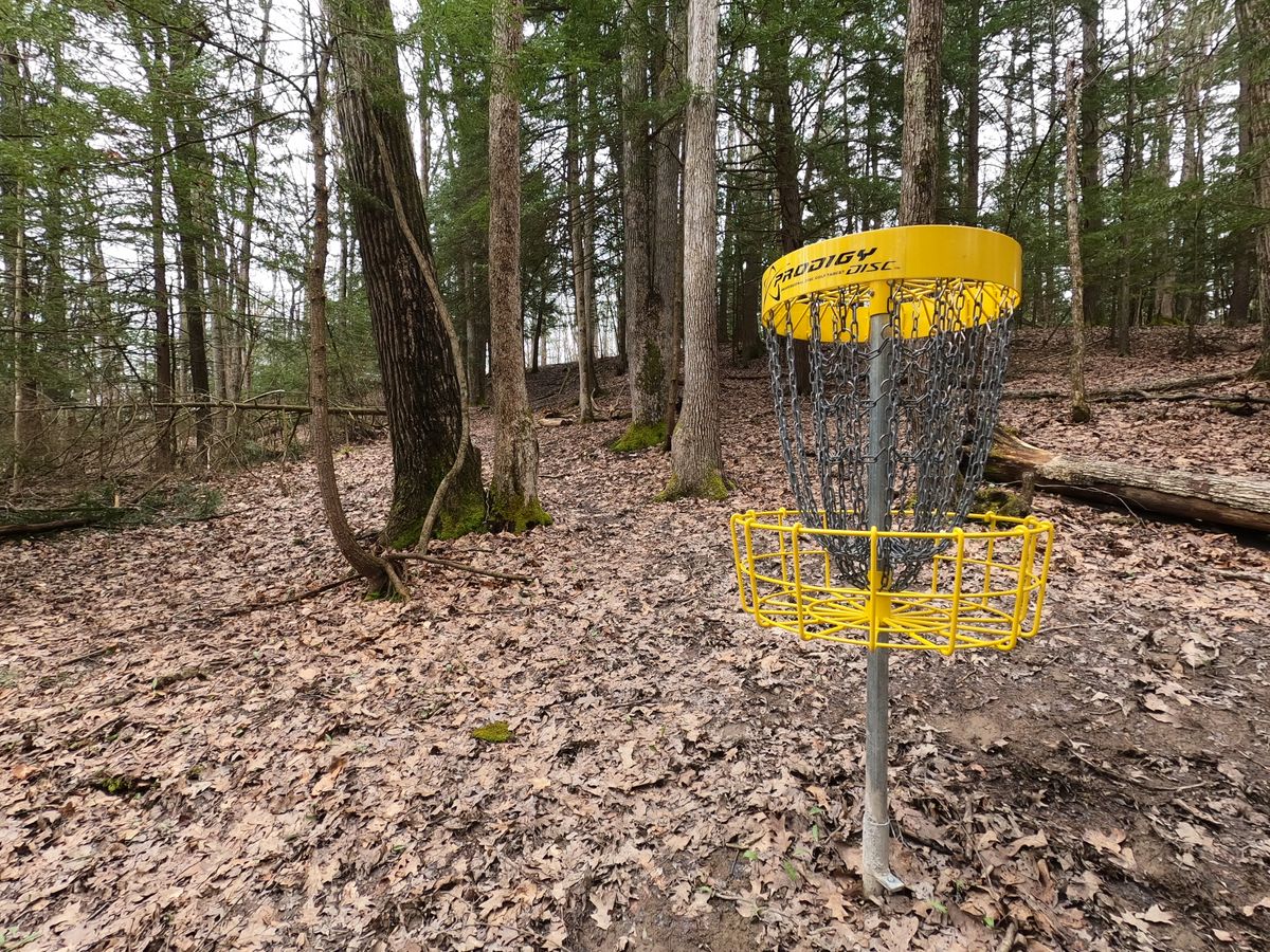 Hole #7 Basket