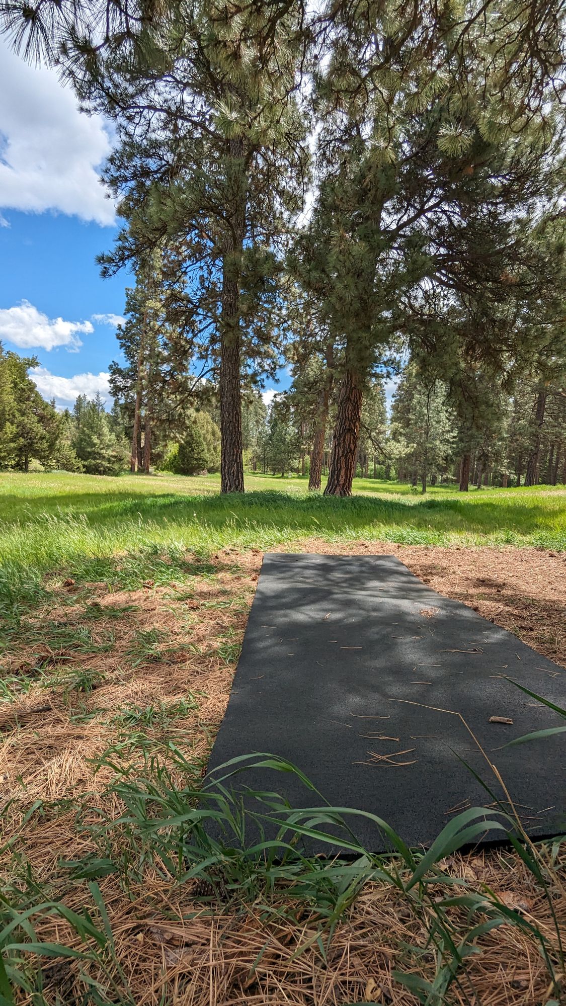 Hole 7 tpad