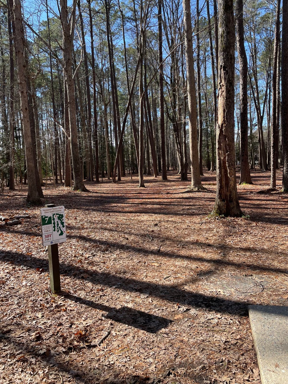 Fairway 7