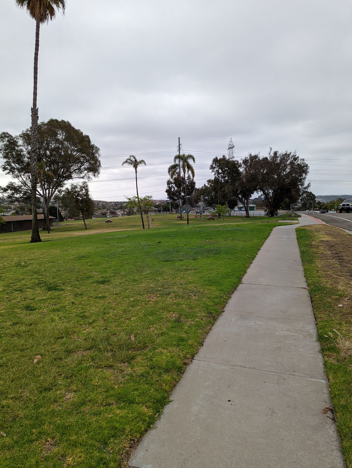 2Short. Mando between 2 palms in the fairway. OB right sidewalk/Iceplants.